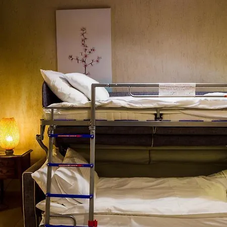 Blossom & 게스트하우스 베리아