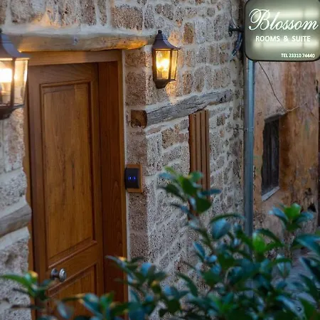 Blossom & Guest house Veria (Imathia)