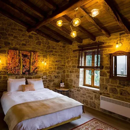 Guest house Blossom &