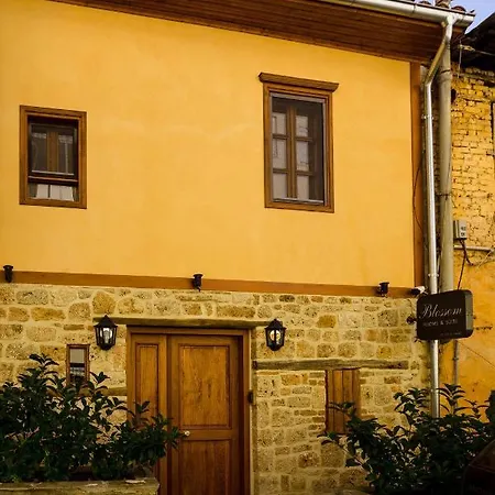 Blossom & Πανσιόν