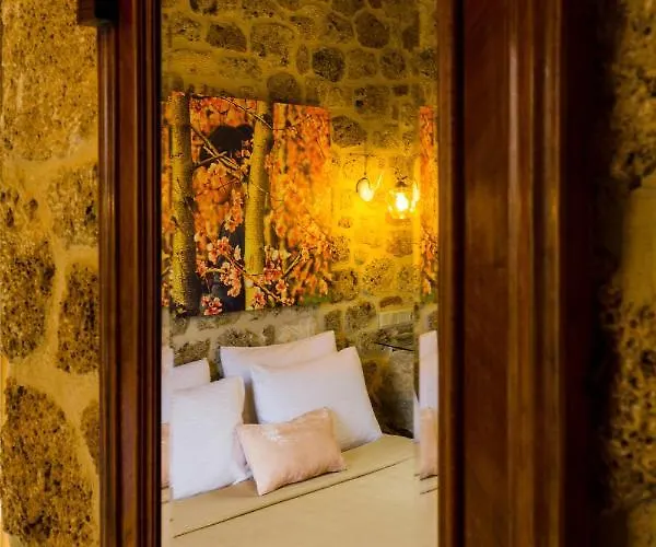 Blossom & Guest house