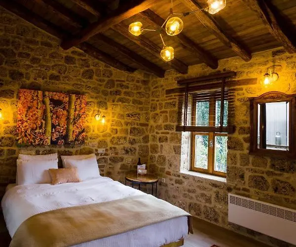 Guest house Blossom &