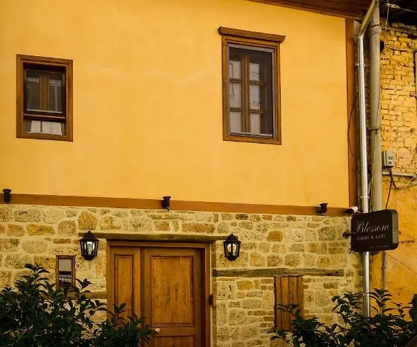 Blossom & Guest house