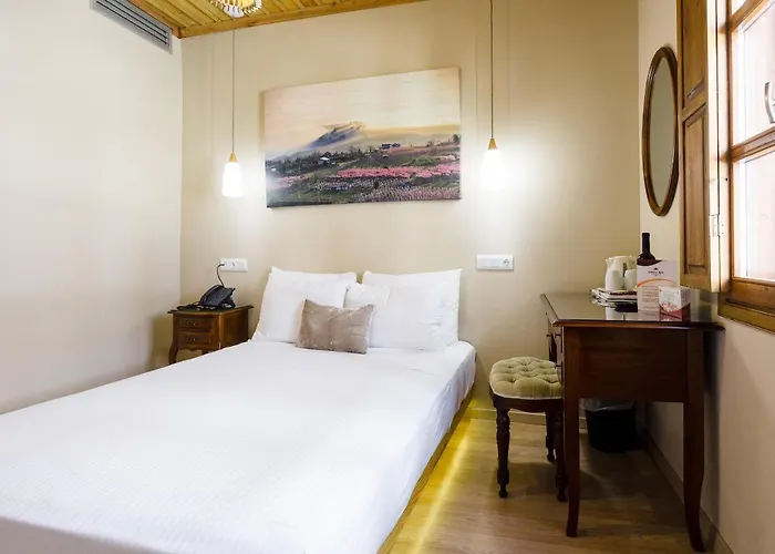 Guest house Blossom &